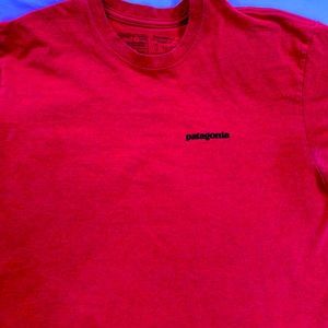 Small Patagonia Tee